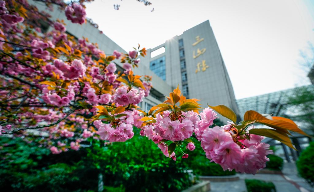 江苏大学三山楼图片